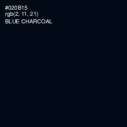 #020B15 - Blue Charcoal Color Image